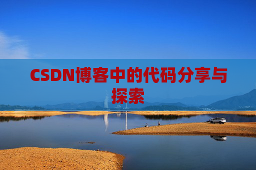 CSDN博客中的代码分享与探索